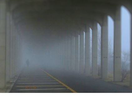 fog